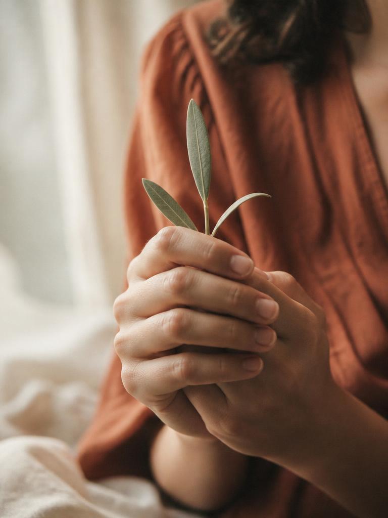 Our Purpose — gentle hands holding a willow leaf in soft window light.